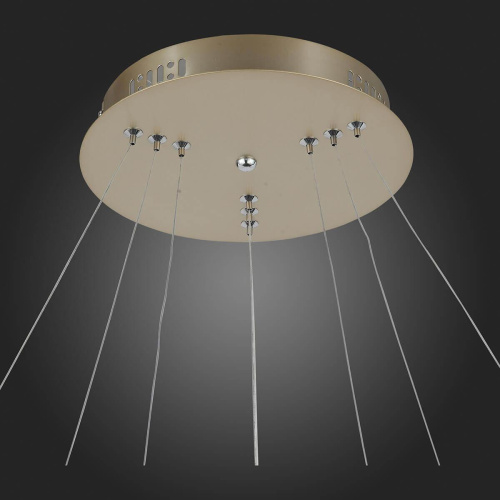 Подвесная светодиодная люстра ST Luce Erto SL904.203.03 Подвесная светодиодная люстра ST Luce Erto SL904.203.03