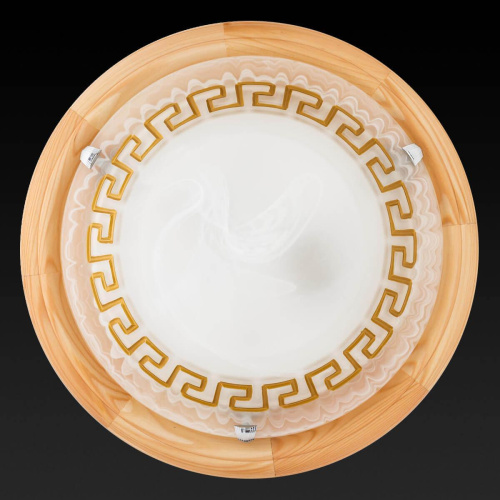 Настенный светильник Toplight Gien TL9173Y-02PN Настенный светильник Toplight Gien TL9173Y-02PN
