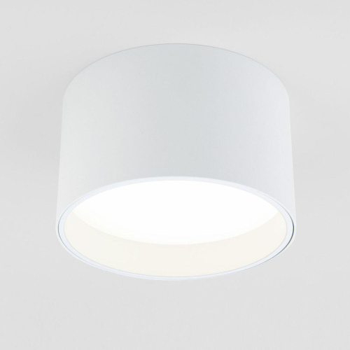 Потолочный светодиодный светильник Elektrostandard 25123/Led Banti 13Вт 4200K a058846 Потолочный светодиодный светильник Elektrostandard 25123/Led Banti 13Вт 4200K a058846