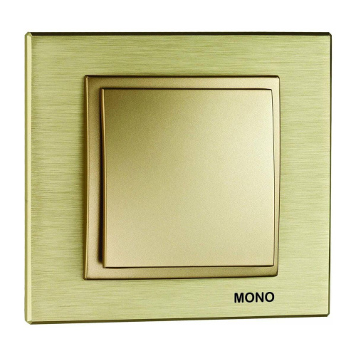 Рамка 1-постовая Mono Electric Style Aluminium титан-шампань 107-830000-160 Рамка 1-постовая Mono Electric Style Aluminium титан-шампань 107-830000-160