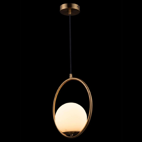 Подвесной светильник Loft IT Glob LOFT2600-A Подвесной светильник Loft IT Glob LOFT2600-A