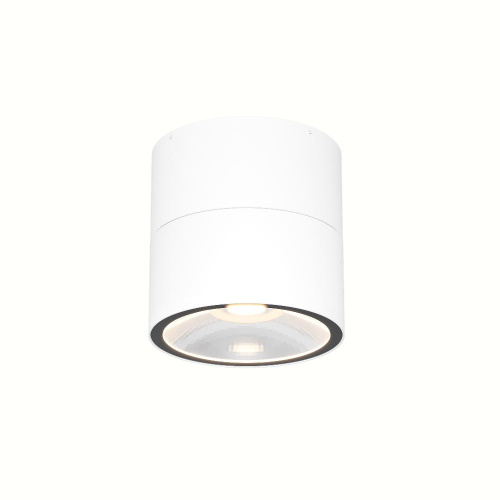 Потолочный светильник Outdoor O310CL-L12W3K Потолочный светильник Outdoor O310CL-L12W3K