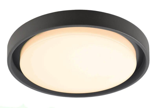 Уличный настенный светильник Deko-Light Ascella 348069 Уличный настенный светильник Deko-Light Ascella 348069