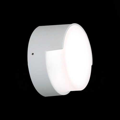 Уличный настенный светодиодный светильник ST Luce Linata SL090.511.01 Уличный настенный светодиодный светильник ST Luce Linata SL090.511.01