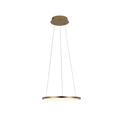 Подвесной светодиодный светильник Loft IT Ring 10014S Подвесной светодиодный светильник Loft IT Ring 10014S
