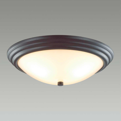 Настенно-потолочный светильник Lumion Vintage Kayla 5263/3C