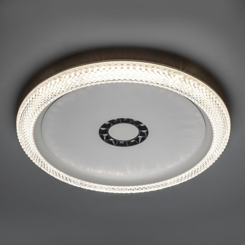 Потолочный светодиодный светильник Ritter Galassia 51577 1 Потолочный светодиодный светильник Ritter Galassia 51577 1