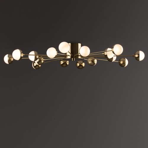 Потолочный светильник Freya FR5242CL-16BS Потолочный светильник Freya FR5242CL-16BS