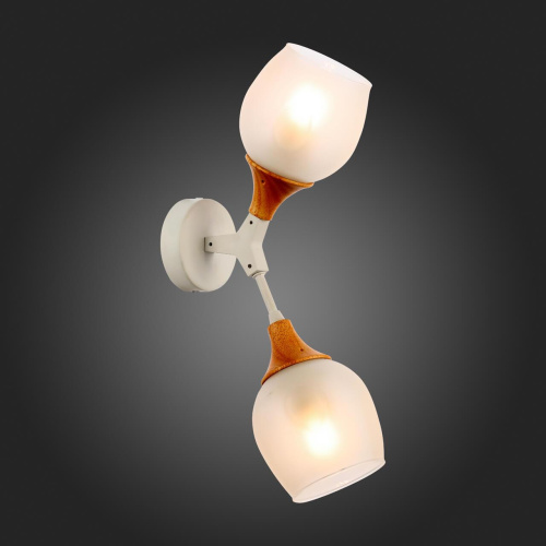 Бра Evoluce Ciotolla SLE113501-02 Бра Evoluce Ciotolla SLE113501-02