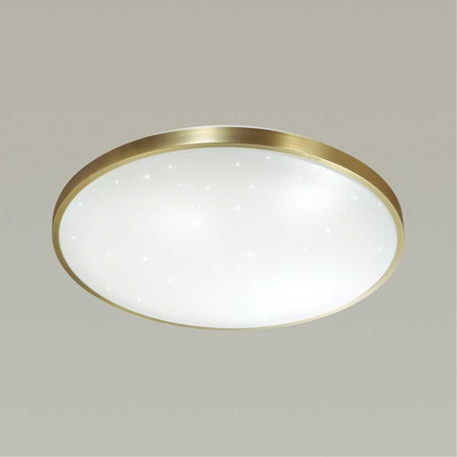 Настенно-потолочный светодиодный светильник Sonex Pale Lota bronze 2089/CL Настенно-потолочный светодиодный светильник Sonex Pale Lota bronze 2089/CL