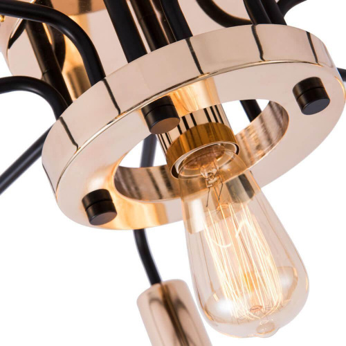 Потолочная люстра Arte Lamp A6001PL-9BK Потолочная люстра Arte Lamp A6001PL-9BK