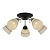 Потолочная люстра Toplight Winnifred TL1255D-05BC