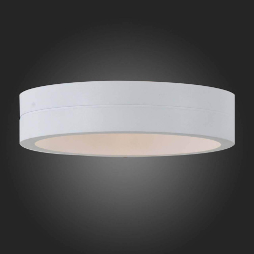 Уличный настенный светодиодный светильник ST Luce SL562.501.01