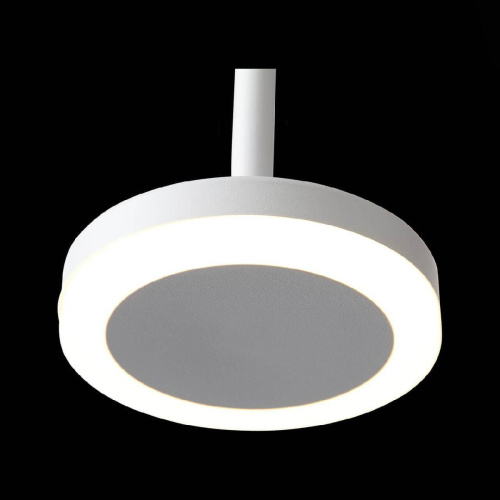 Подвесной светодиодный светильник ST Luce Ciamella ST104.503.06 Подвесной светодиодный светильник ST Luce Ciamella ST104.503.06