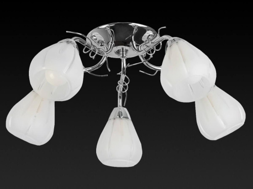 Потолочная люстра Toplight Alexia TL3640X-05CH Потолочная люстра Toplight Alexia TL3640X-05CH