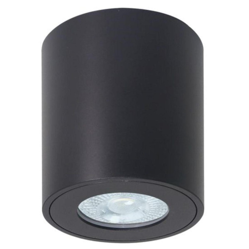 Потолочный светильник Arte Lamp Tino A1469PL-1BK Потолочный светильник Arte Lamp Tino A1469PL-1BK