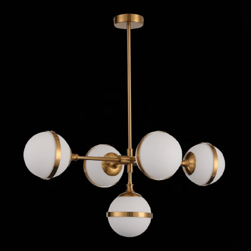 Подвесная люстра ST Luce Arbe SL1157.303.05 Подвесная люстра ST Luce Arbe SL1157.303.05