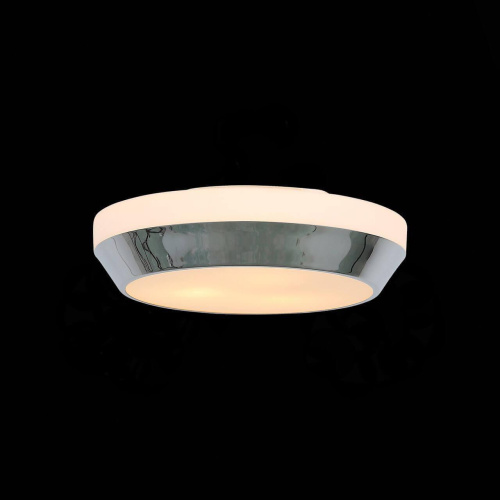 Потолочный светильник ST Luce Bagno SL469.502.02 Потолочный светильник ST Luce Bagno SL469.502.02