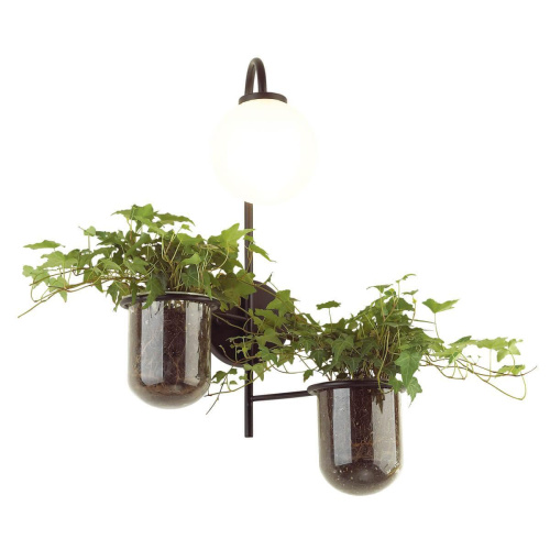 Настенный светильник Odeon Light Flower 4681/1W Настенный светильник Odeon Light Flower 4681/1W