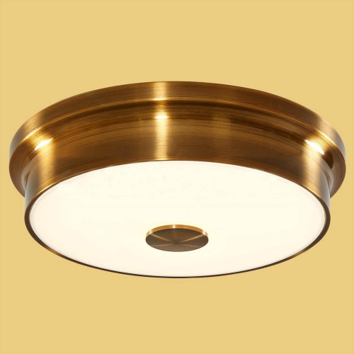 Потолочный светильник Citilux Фостер CL706222 Потолочный светильник Citilux Фостер CL706222