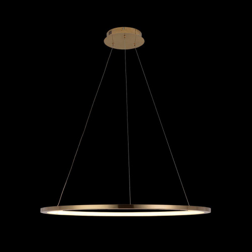 Подвесной светодиодный светильник Loft IT Ring 10014L Подвесной светодиодный светильник Loft IT Ring 10014L