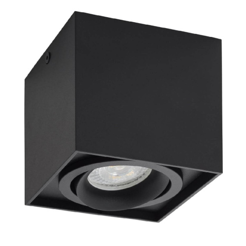 Потолочный светильник Denkirs DK2003-BK Потолочный светильник Denkirs DK2003-BK