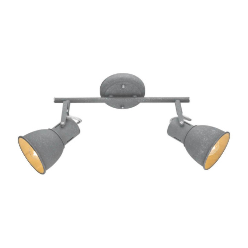 Спот Arte Lamp A1677PL-2GY Спот Arte Lamp A1677PL-2GY