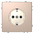 Розетка Schneider Electric Merten D-Life 16A с/з и шторками MTN2400-6051