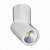 Светодиодный спот ST Luce ST650.532.10