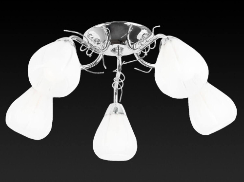 Потолочная люстра Toplight Alexia TL3640X-05CH Потолочная люстра Toplight Alexia TL3640X-05CH
