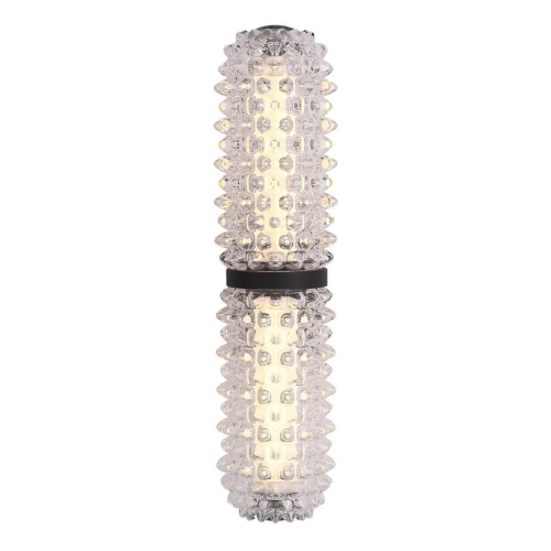Настенный светильник ST Luce SAGUARO SL6144.401.01 Настенный светильник ST Luce SAGUARO SL6144.401.01