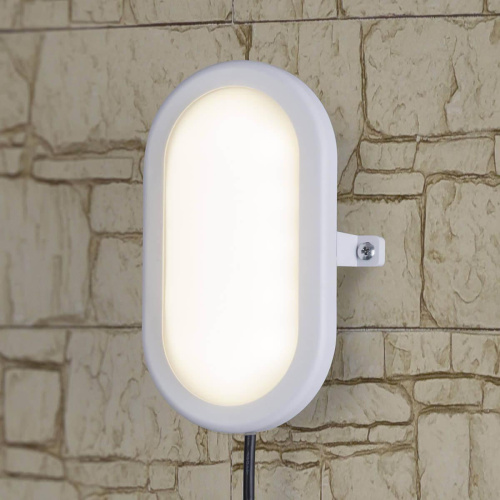 Пылевлагозащищенный светильник Elektrostandard LTB0102D LED 22 см 12W белый a036710 Пылевлагозащищенный светильник Elektrostandard LTB0102D LED 22 см 12W белый a036710