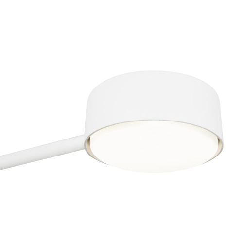 Потолочный светильник Freya FR5363CL-02W1