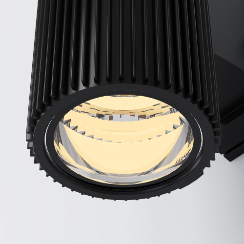 Настенный светильник Maytoni Outdoor O419WL-02B Настенный светильник Maytoni Outdoor O419WL-02B
