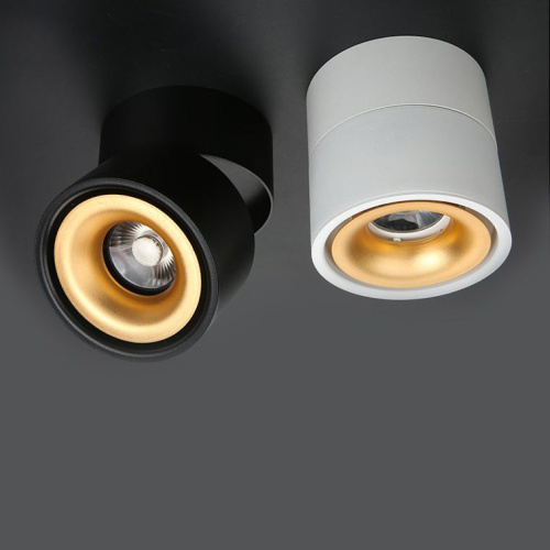Потолочный Светильник Agenda Black+Gold 10W By Imperiumloft