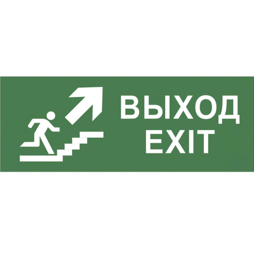 Пиктограмма ЭРА INFO-SSA-110 Б0048479 Пиктограмма ЭРА INFO-SSA-110 Б0048479