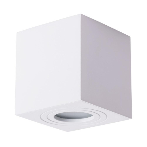 Потолочный светильник Arte Lamp Galopin A1461PL-1WH Потолочный светильник Arte Lamp Galopin A1461PL-1WH