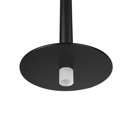 Подвесной светодиодный светильник Loft IT Reed 10358/830 Disk Подвесной светодиодный светильник Loft IT Reed 10358/830 Disk