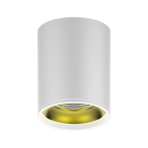 Потолочный светодиодный светильник Gauss Overhead HD010 Потолочный светодиодный светильник Gauss Overhead HD010