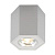 Потолочный светильник Zumaline Polygon cl r 20077-AL