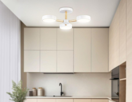 Потолочная светодиодная люстра Ambrella light Comfort LineTech FL4821 Потолочная светодиодная люстра Ambrella light Comfort LineTech FL4821
