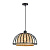 Подвесной светильник Arte Lamp WOODSTOCK A7071SP-1BK
