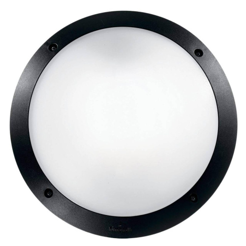 Уличный настенный светильник Ideal Lux Lucia-1 AP1 Nero 096674 Уличный настенный светильник Ideal Lux Lucia-1 AP1 Nero 096674