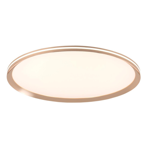 Потолочный cветильник LED4U L3020-600 GD Потолочный cветильник LED4U L3020-600 GD