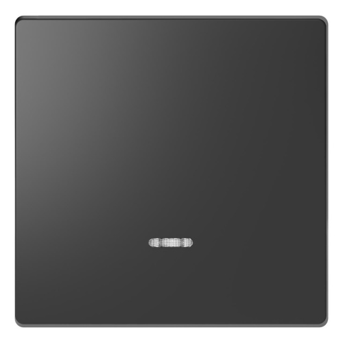Клавиша одинарная Schneider Electric Merten D-Life MTN3320-6034 Клавиша одинарная Schneider Electric Merten D-Life MTN3320-6034