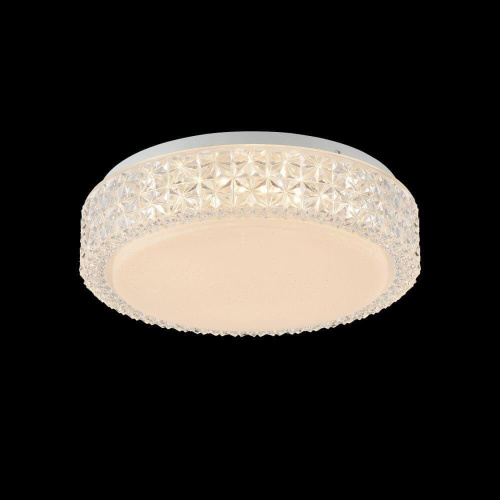 Потолочный светодиодный светильник Freya Alicia FR6309-CL01-12W-W Потолочный светодиодный светильник Freya Alicia FR6309-CL01-12W-W