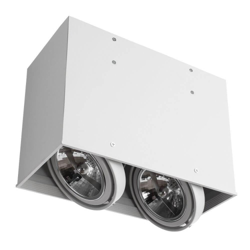 Потолочный светильник Arte Lamp Cardani A5936PL-2WH Потолочный светильник Arte Lamp Cardani A5936PL-2WH