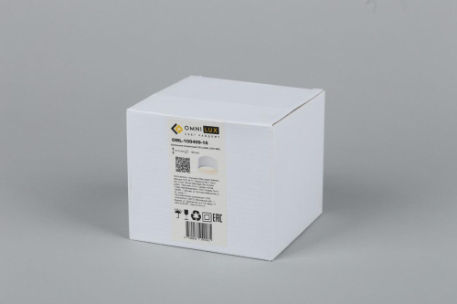 Потолочный светодиодный светильник Omnilux Stezzano OML-100409-16 Потолочный светодиодный светильник Omnilux Stezzano OML-100409-16