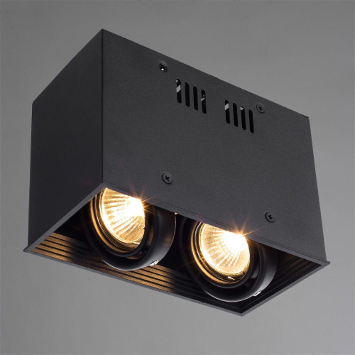 Потолочный светильник Arte Lamp Cardani A5942PL-2BK Потолочный светильник Arte Lamp Cardani A5942PL-2BK