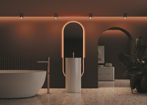 Потолочный светильник Maytoni Alfa C012CL-01B